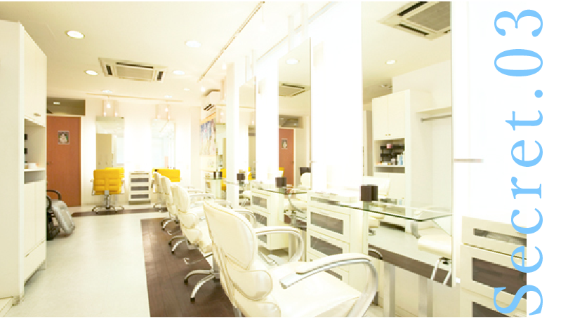 本業は東京都を中心に56店舗展開する美容室経営だから安い！